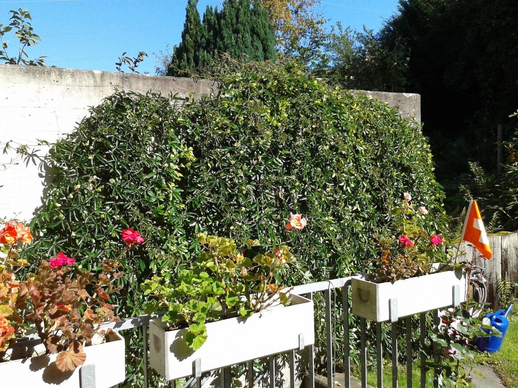 Mybednbreakfast In Bottmingen Bed & Breakfast Luaran gambar