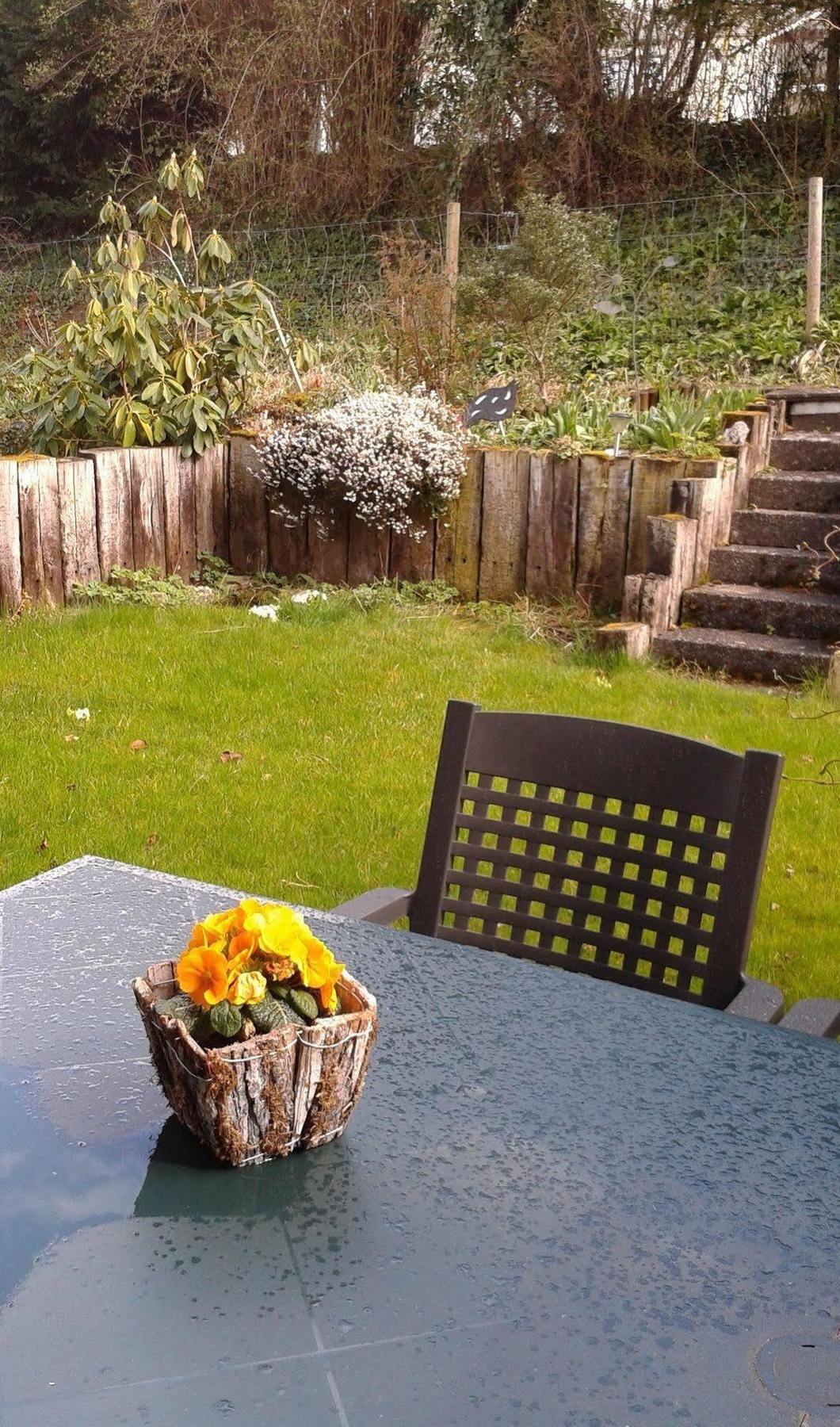 Mybednbreakfast In Bottmingen Bed & Breakfast Luaran gambar
