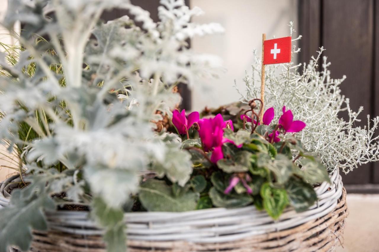 Mybednbreakfast In Bottmingen Bed & Breakfast Luaran gambar